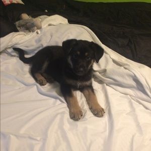 Meet your Posher, Zach